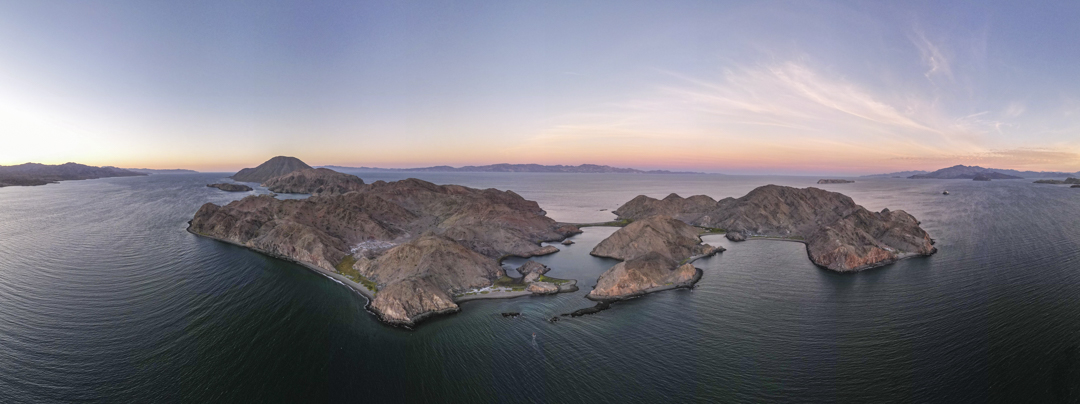 Esta isla volcánica alberga el bosque de mangle más norteño que se puede encontrar en toda la Península de Baja California.