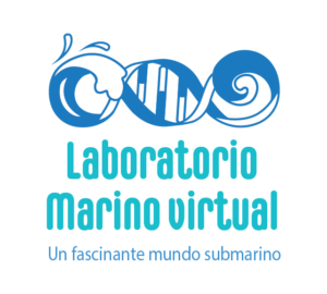 Logo_Laboratorio_Marino_transp-01
